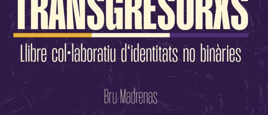 Portada del llibre Transgresoris