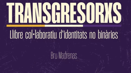 Portada del llibre Transgresoris