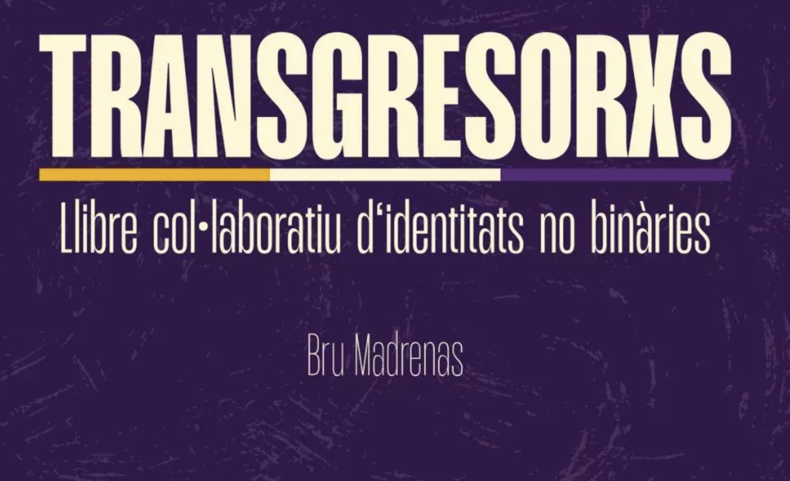 Portada del llibre Transgresoris