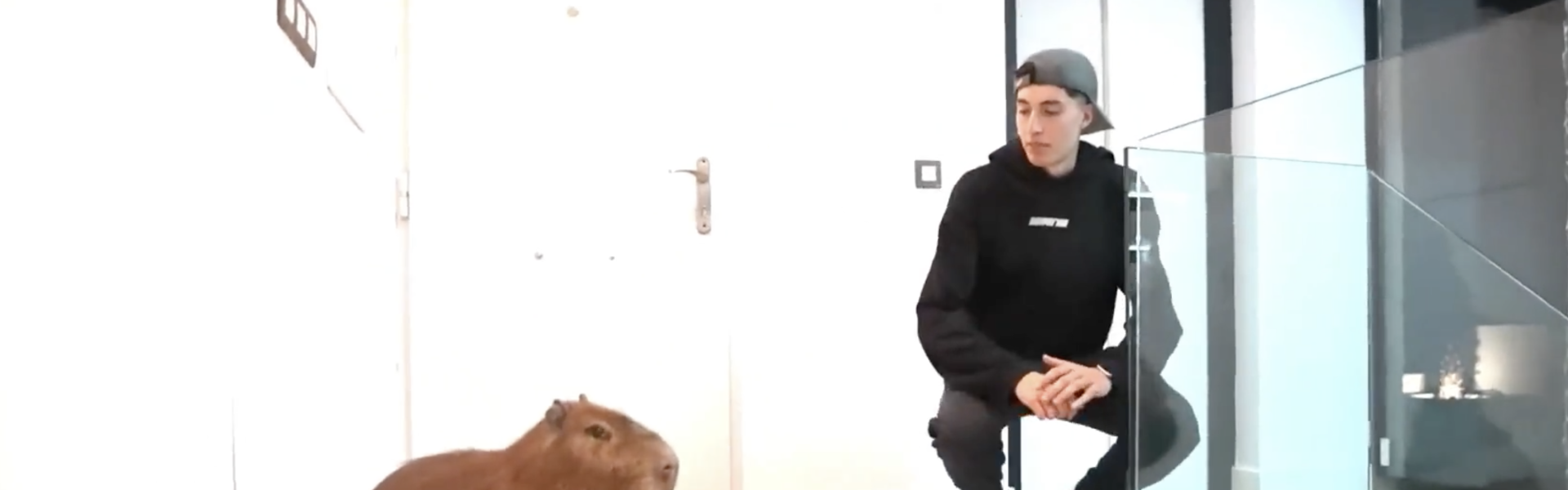 YoSoyPlex i el seu capibara