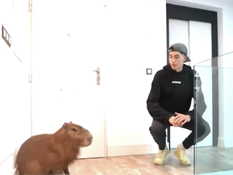 YoSoyPlex i el seu capibara