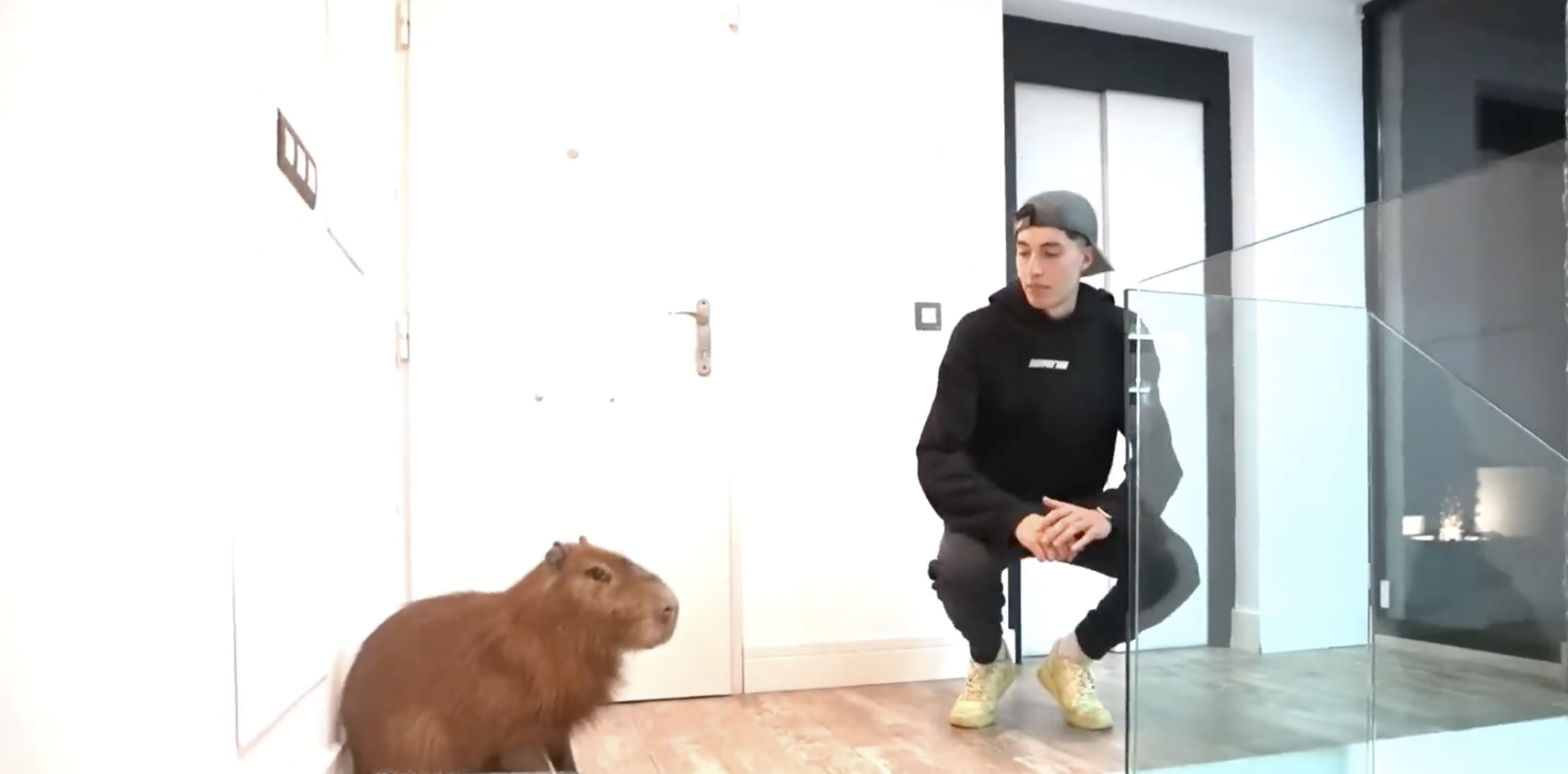 YoSoyPlex i el seu capibara